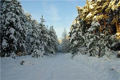 传Xbox第一方游戏《宣誓》试玩印象很不好